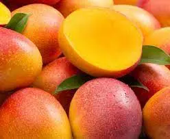 African Mango Seed